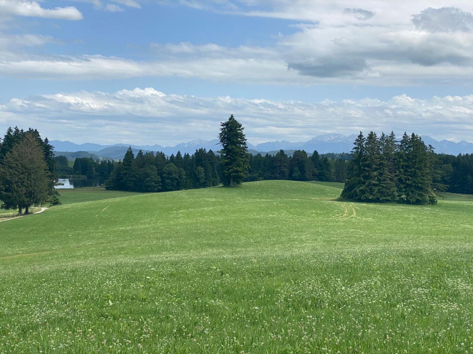 "Allgaeu-Herzl" Alpenchalet Fuer Zwei Ruckholz Exterior foto